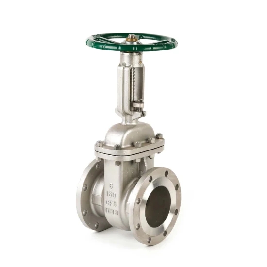 API6D Cast Steel Rising SET SETH BRODE GAPE VALVE POUR INDUSTRIEL