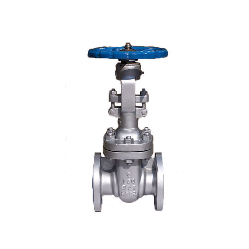 API 6D FLANGE ENDE