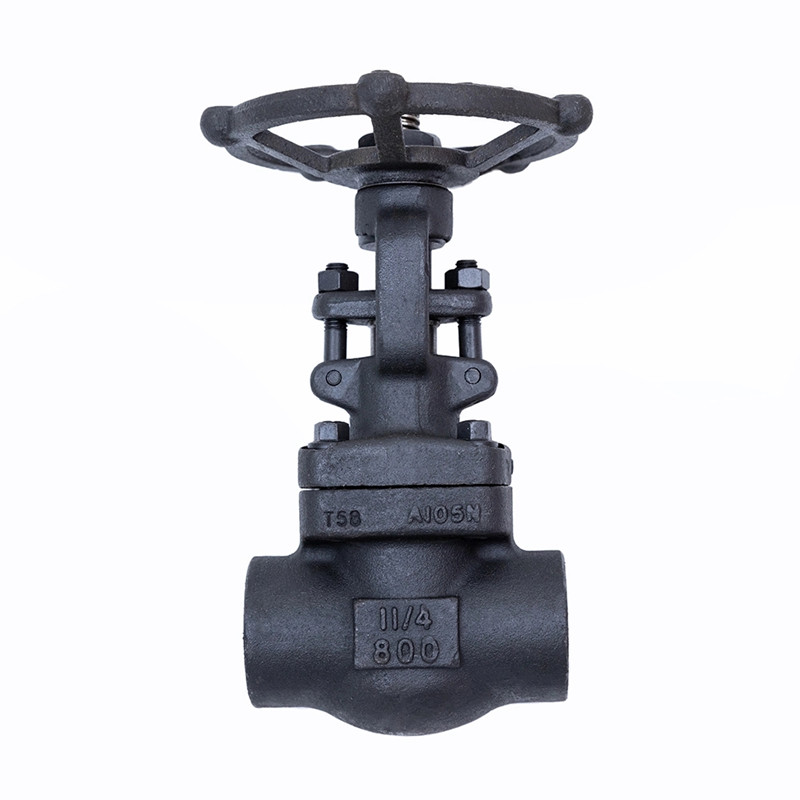 Vanne à vanne forgée 800LBS