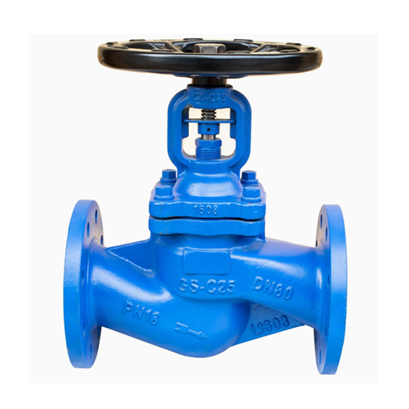 GS-C25 à bride standard standard Bellow Globe Valve