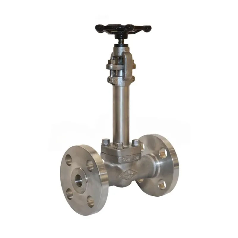 Valve de porte cryogénique à basse température