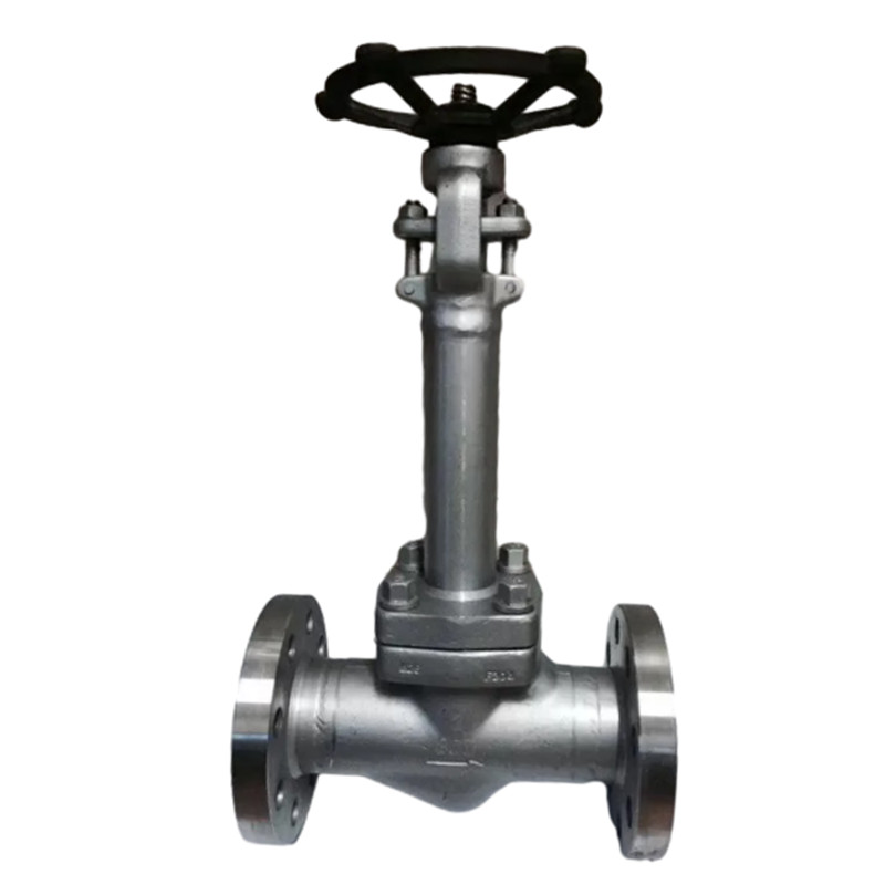 Valve de globe d'application cryogénique en acier à basse température