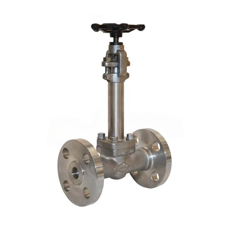 Valve de porte cryogénique en acier à basse température