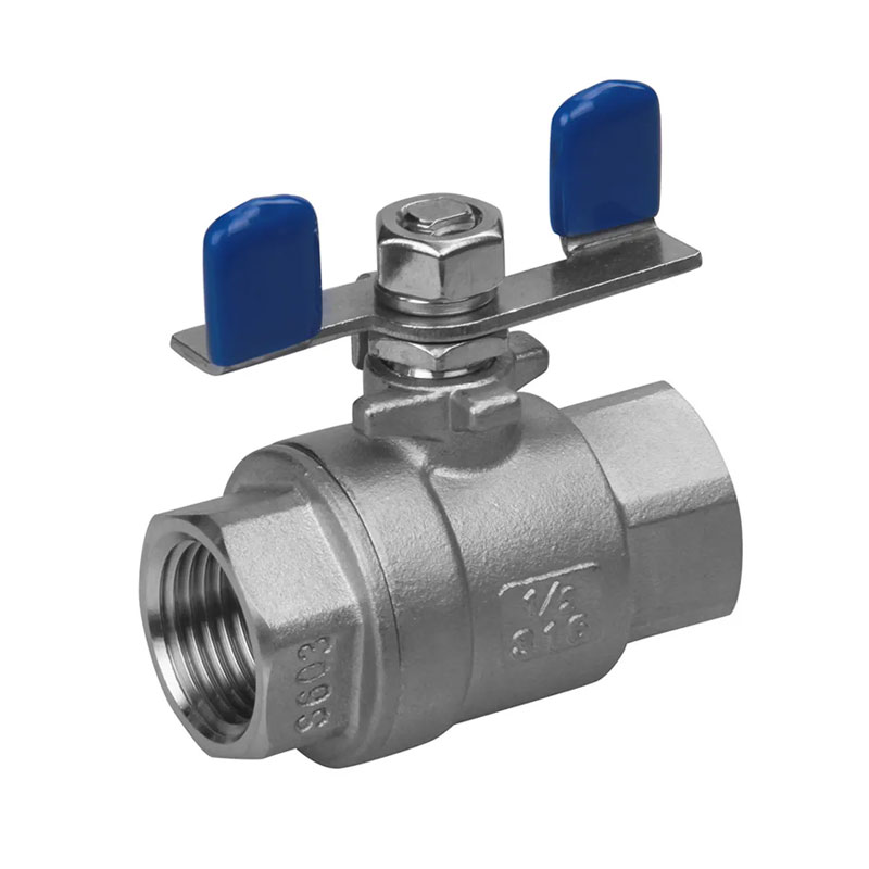 Valve à billes 2 PC en acier inoxydable